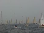Sydney to Hobart.JPG (32 KB)